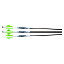 PROFLIGHT CARBON ARROWS