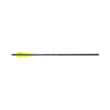 FIREBOLT 20" CARBON ARROWS (6 PK)