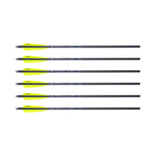 FIREBOLT 20" CARBON ARROWS (6 PK)