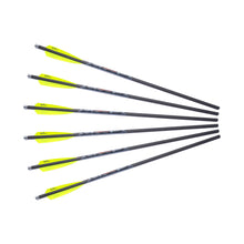 FIREBOLT 20" CARBON ARROWS (6 PK)