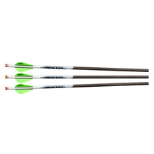 PROFLIGHT CARBON ARROWS